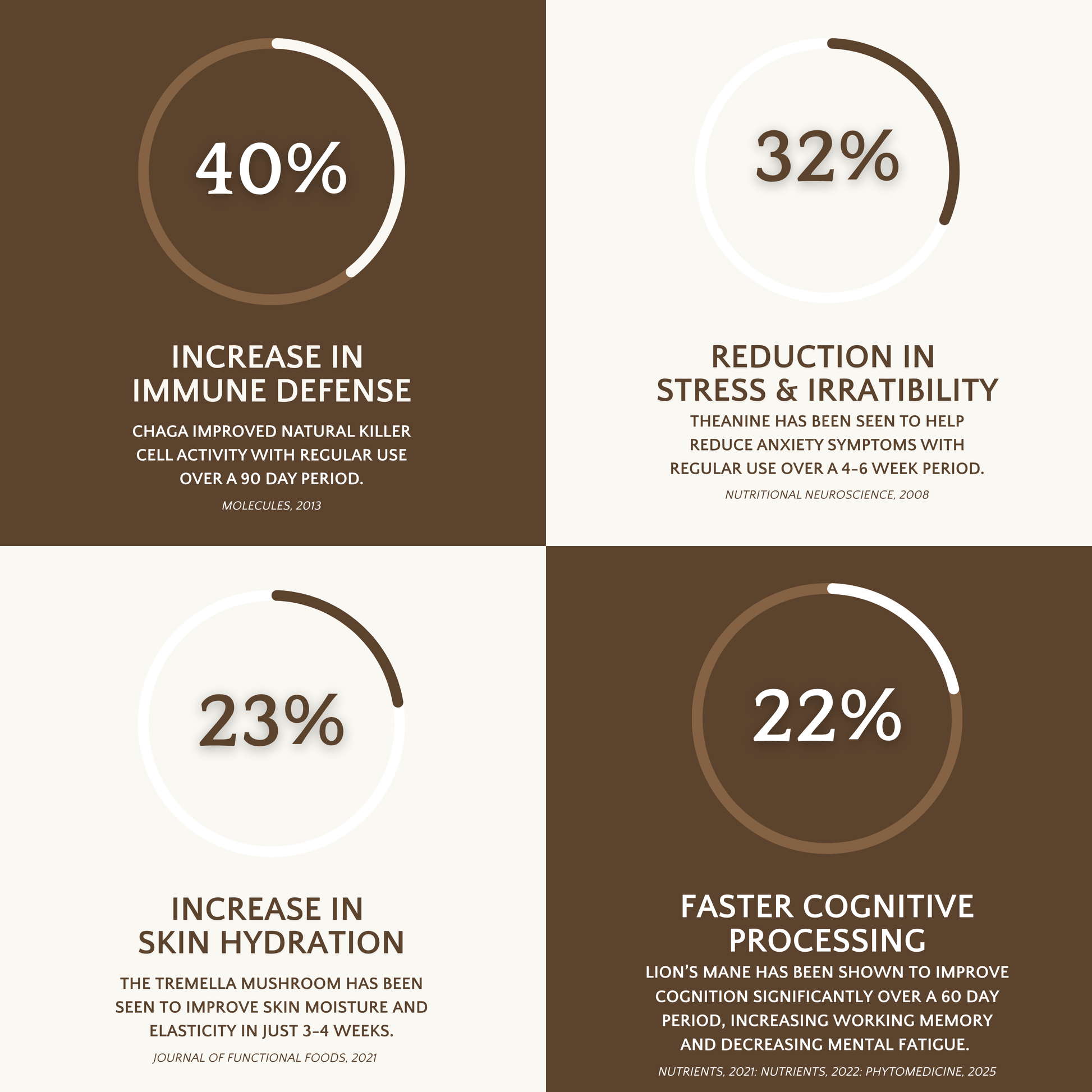 Kaizen Coffee - Premium Organic Coffee with Mushrooms, Nootropics, Sea Moss and Cacao: Stick Packs